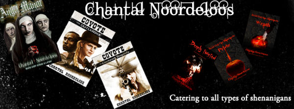 facebook-banner chantal noordeloos