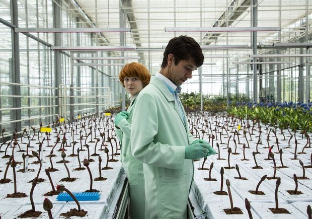 Austrian Film Director Jessica Hausner’s “Little Joe”